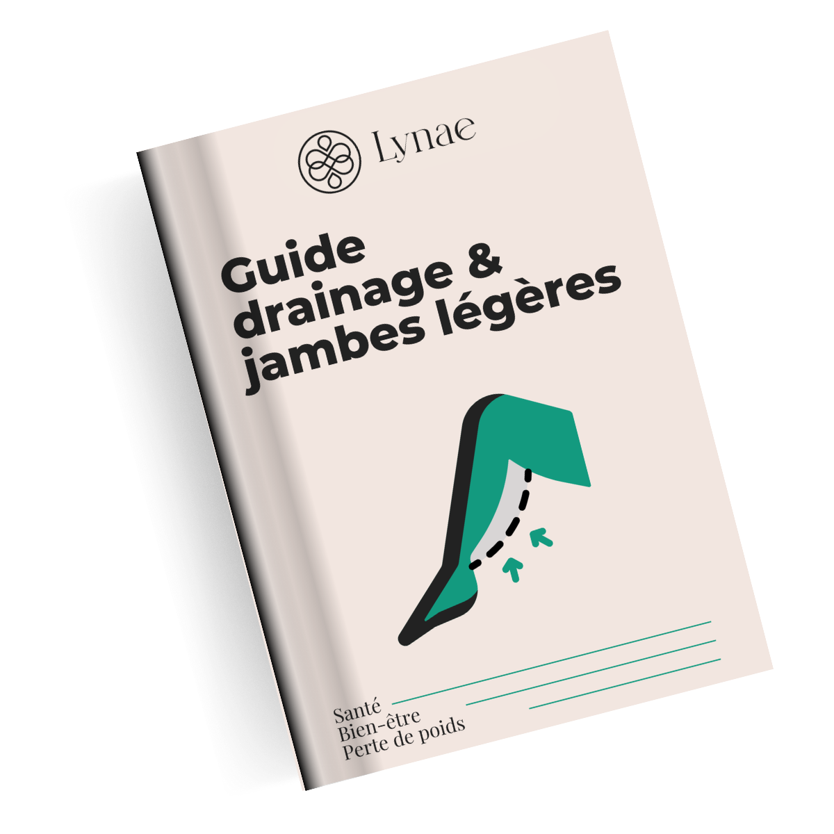 Ebook guide drainage