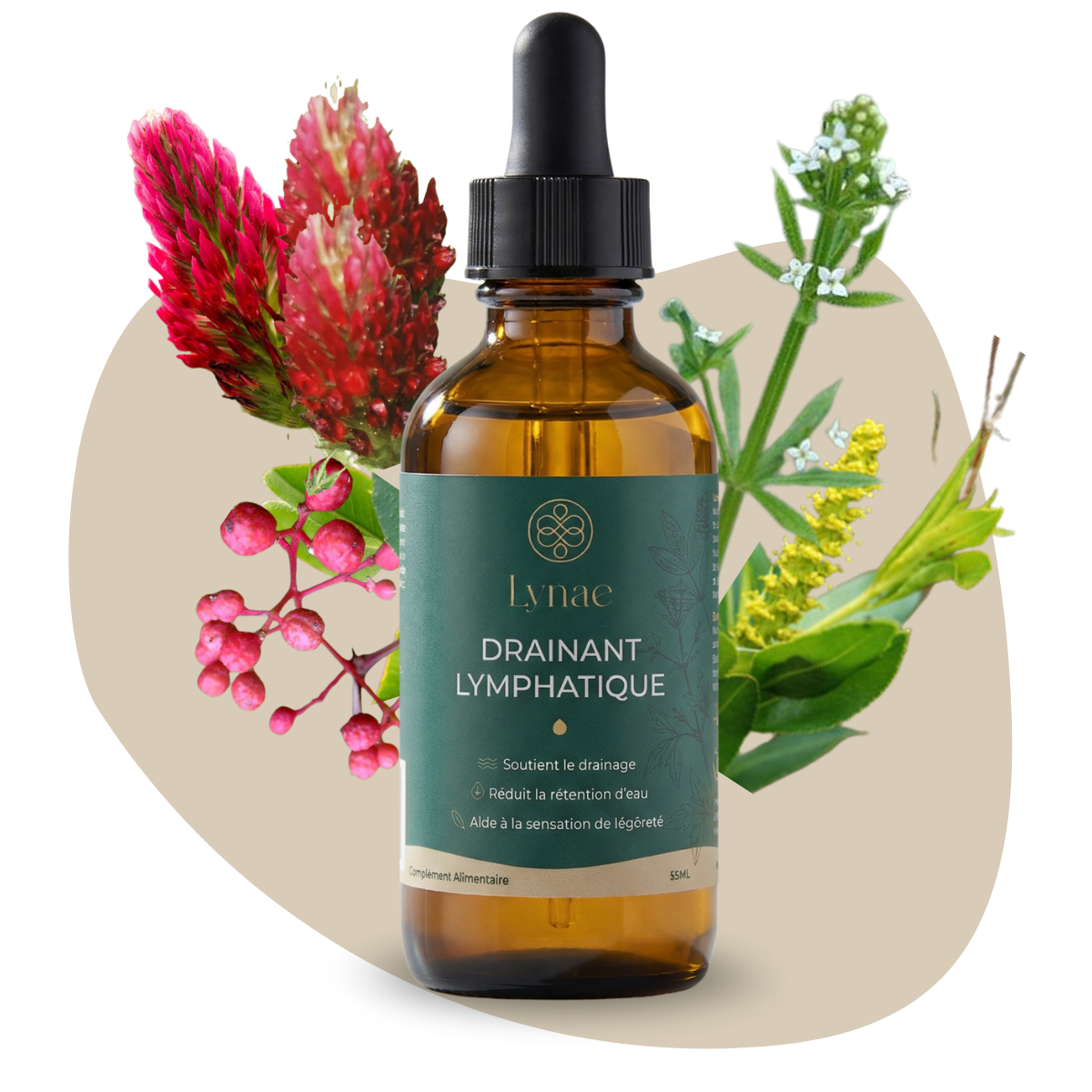 Lynae – Drainant lymphatique en extrait liquide
